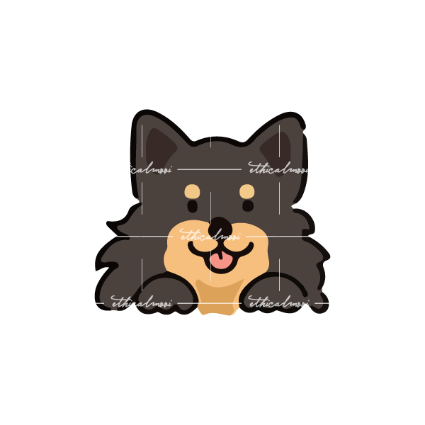 Lazy loaded image
