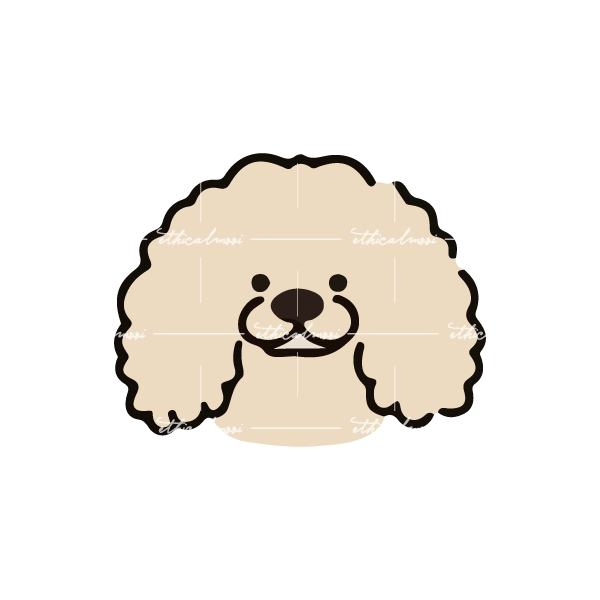 Lazy loaded image