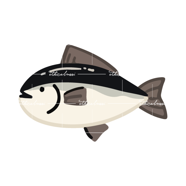 Lazy loaded image