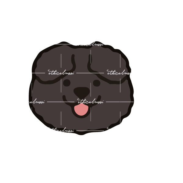 Lazy loaded image