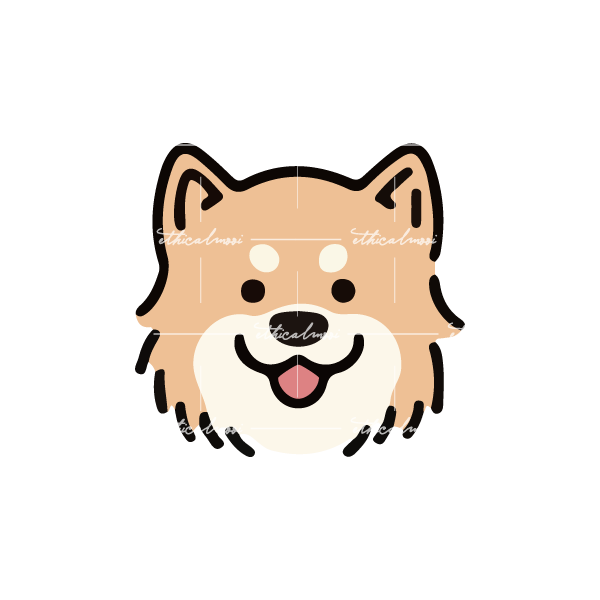 Lazy loaded image
