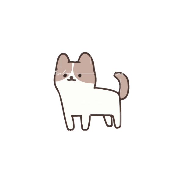 Lazy loaded image