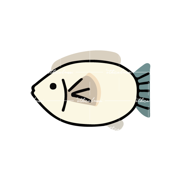 Lazy loaded image