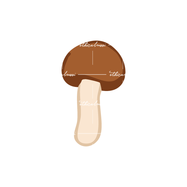 Lazy loaded image