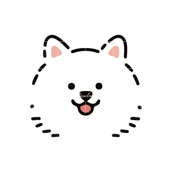 Lazy loaded image