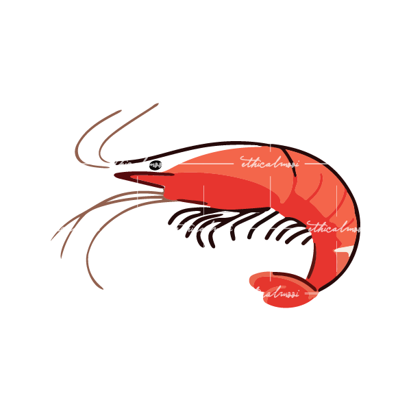 Lazy loaded image