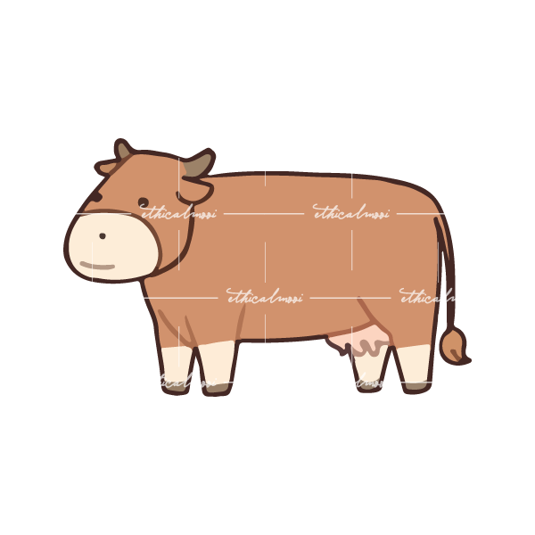 Lazy loaded image