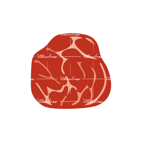Lazy loaded image