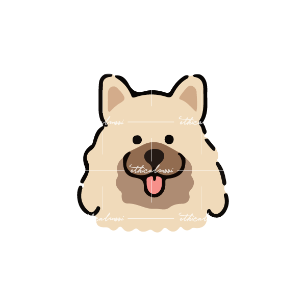 Lazy loaded image