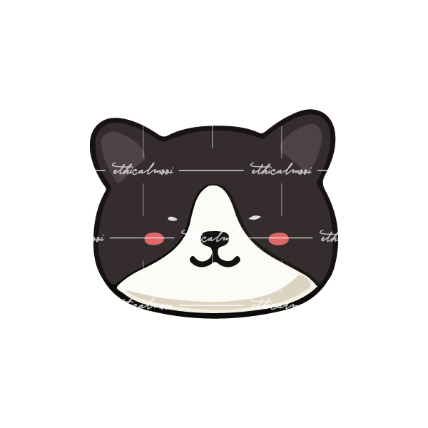 Lazy loaded image