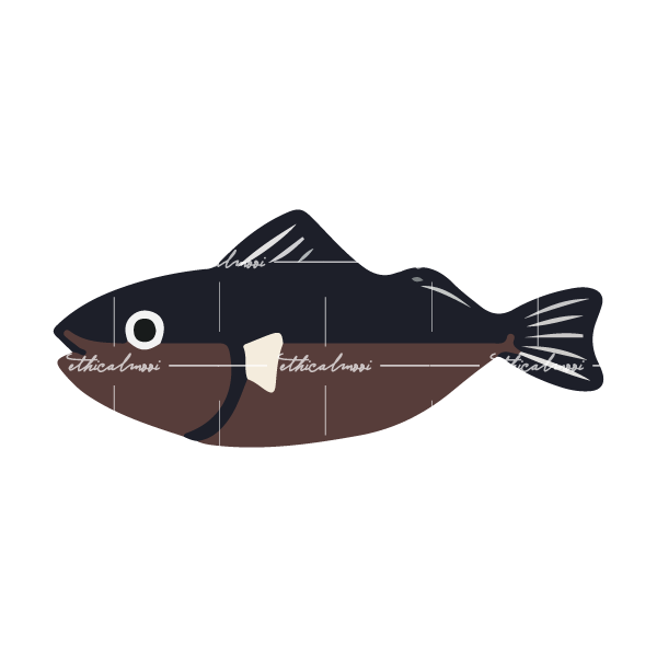 Lazy loaded image