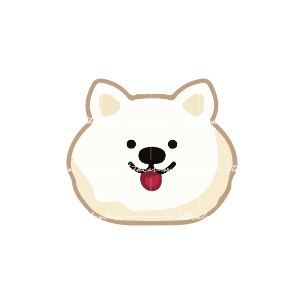 Lazy loaded image