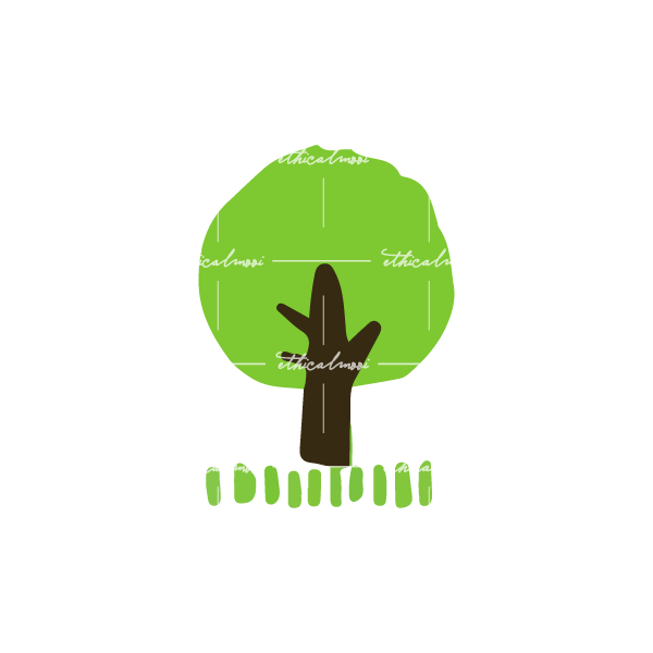 Lazy loaded image