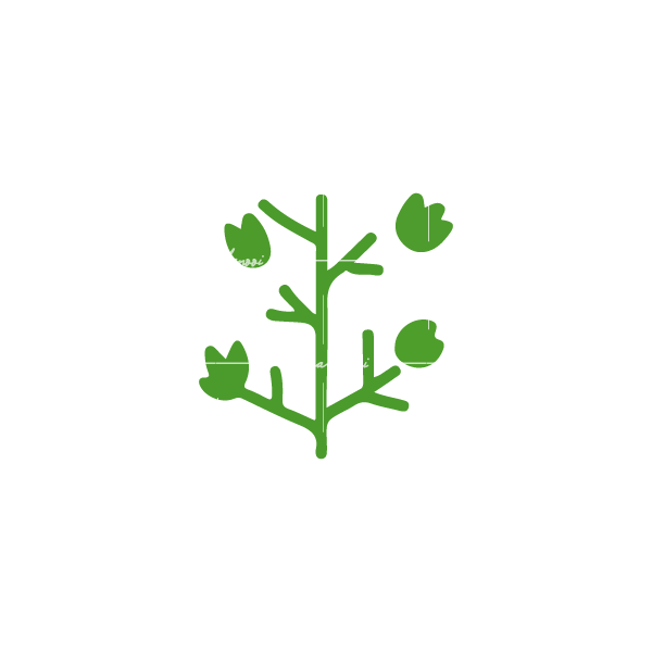 Lazy loaded image