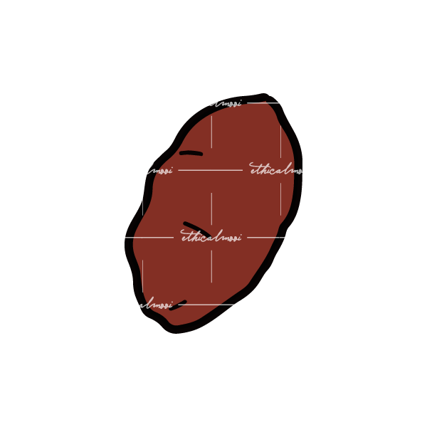 Lazy loaded image