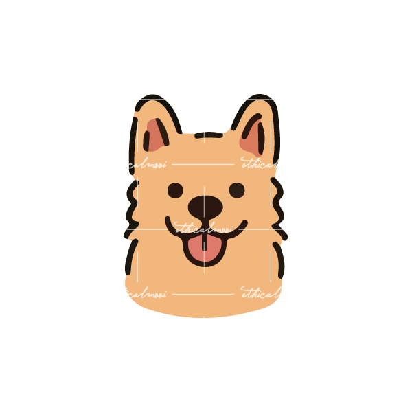 Lazy loaded image