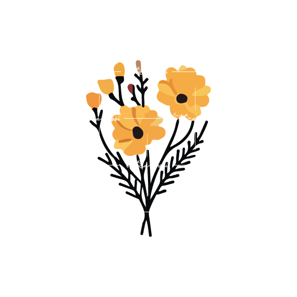 Lazy loaded image