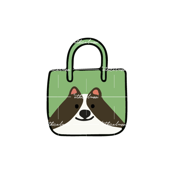 Lazy loaded image