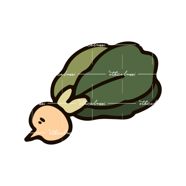 Lazy loaded image