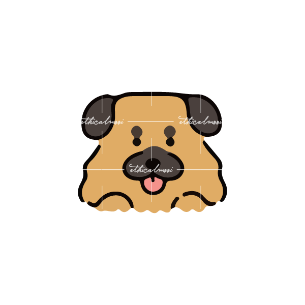 Lazy loaded image