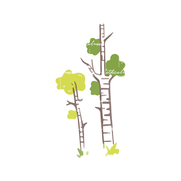 Lazy loaded image