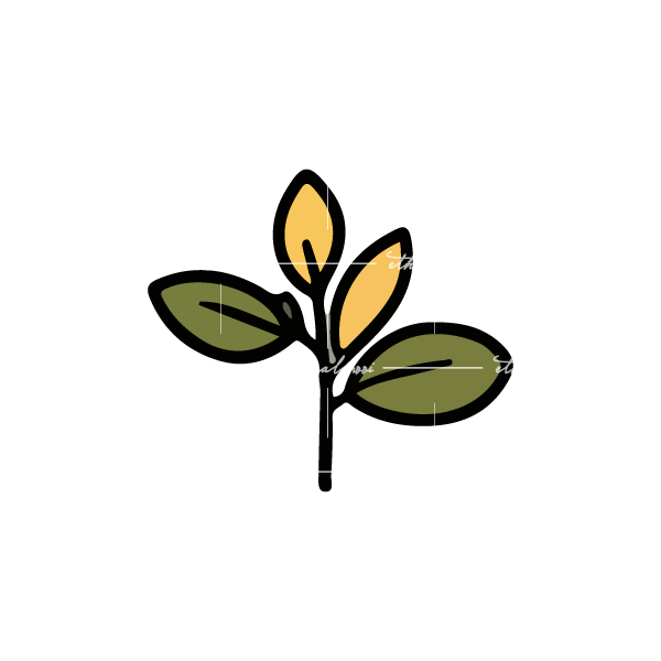 Lazy loaded image