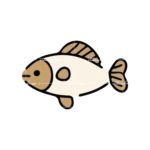 Lazy loaded image