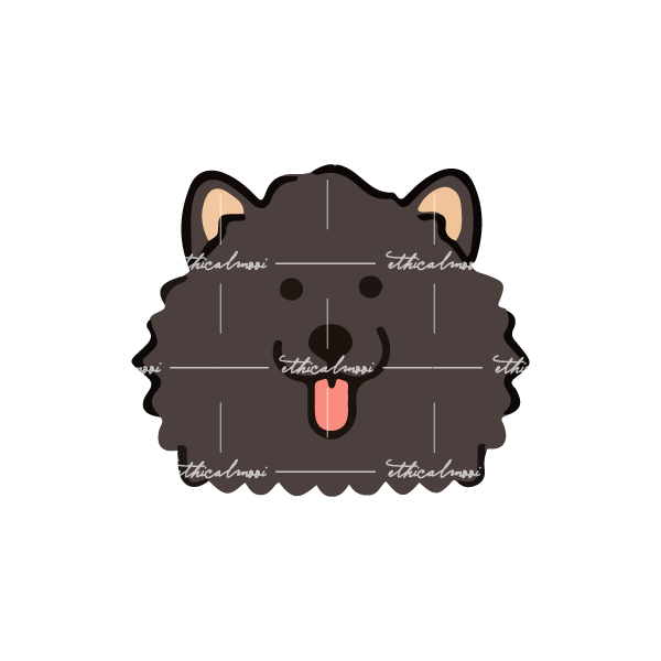 Lazy loaded image