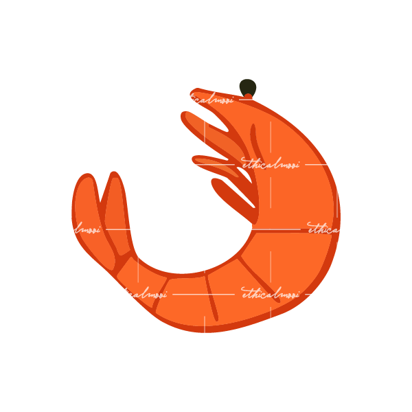 Lazy loaded image
