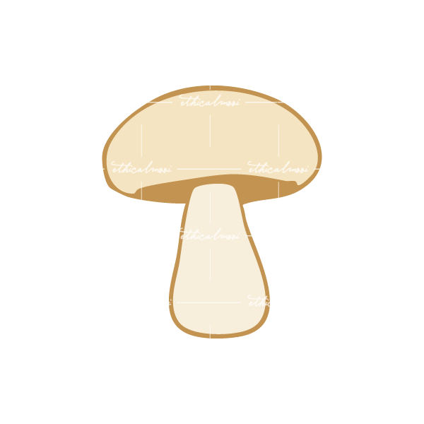 Lazy loaded image