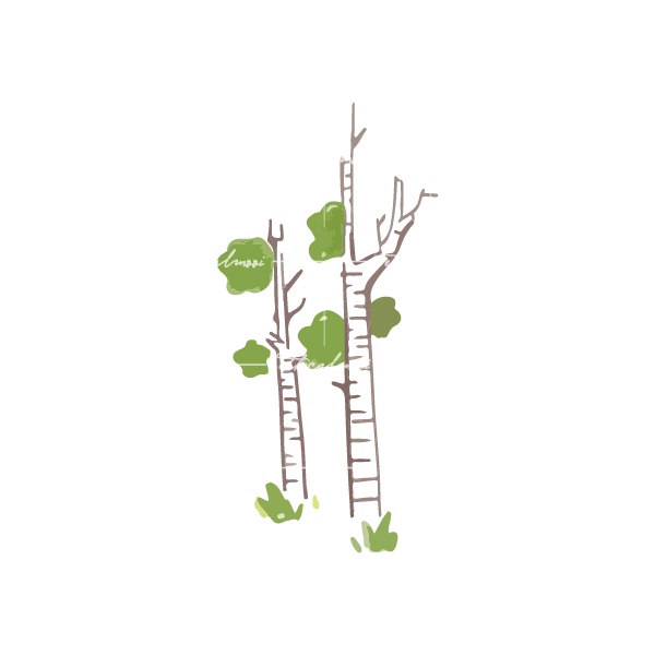 Lazy loaded image