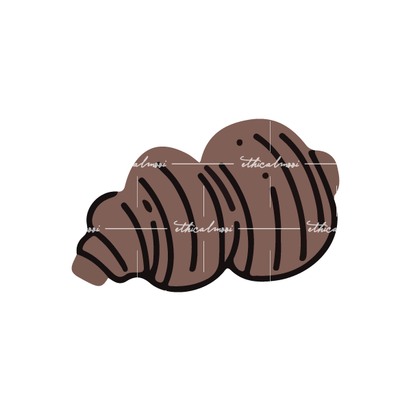 Lazy loaded image