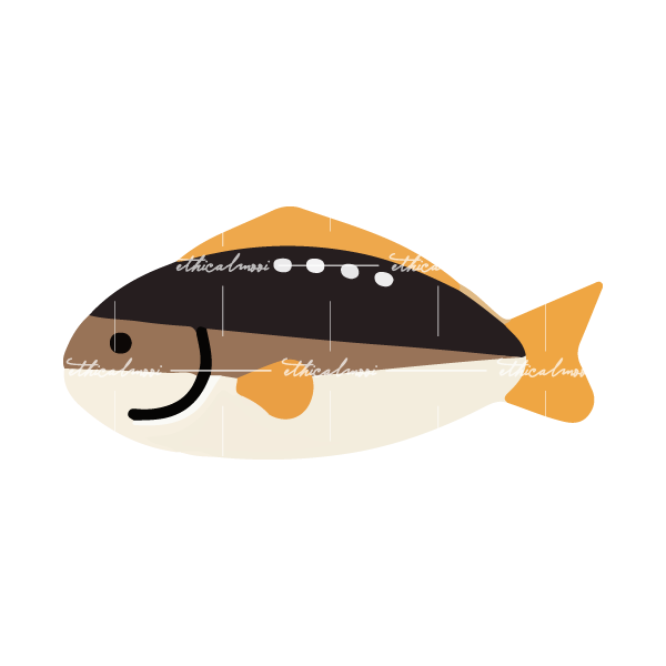 Lazy loaded image