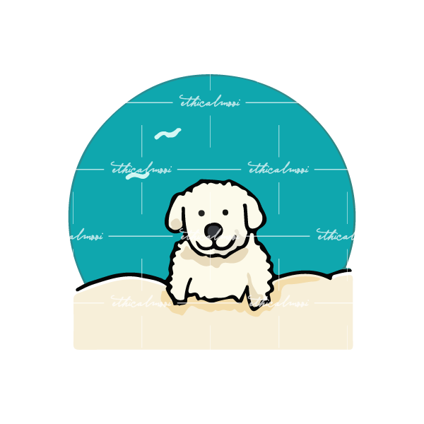 Lazy loaded image