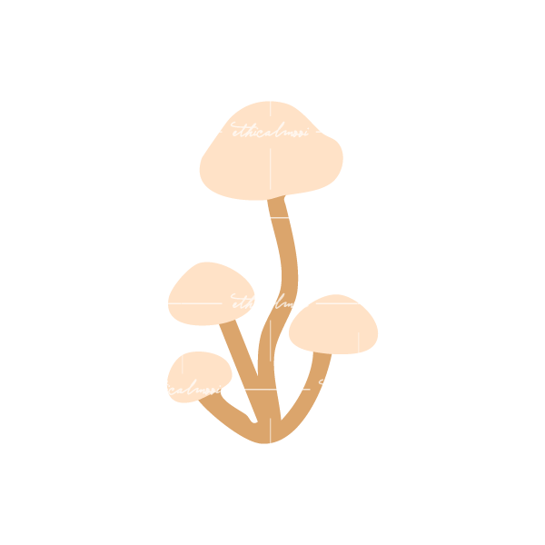 Lazy loaded image