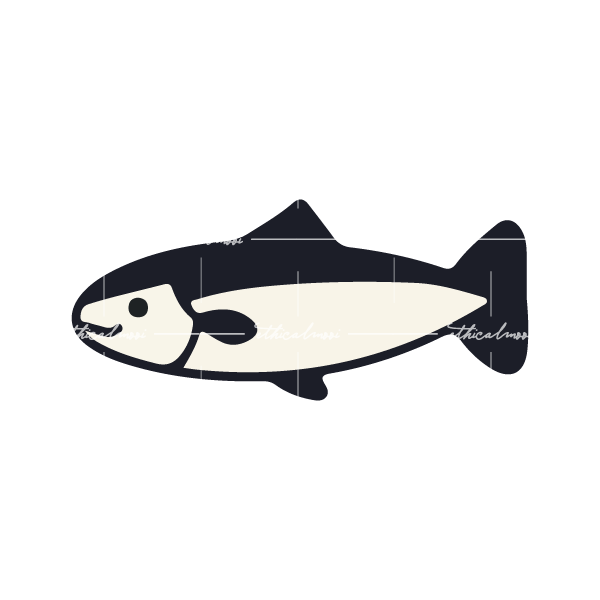 Lazy loaded image