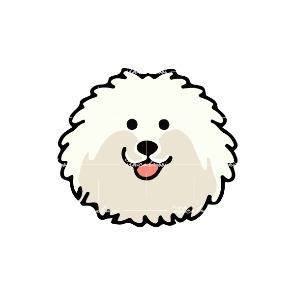 Lazy loaded image