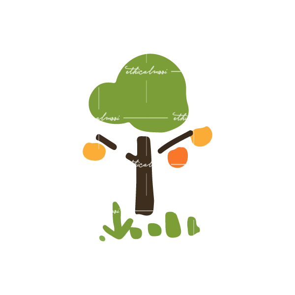 Lazy loaded image