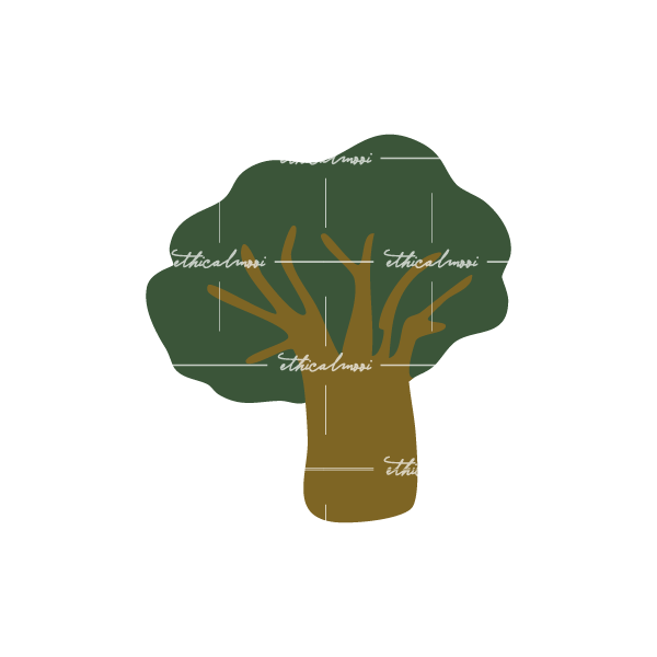 Lazy loaded image